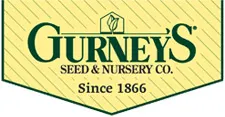 Gurneys