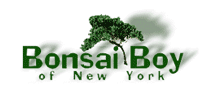 Bonsai Boy Of New York Coupon Codes
