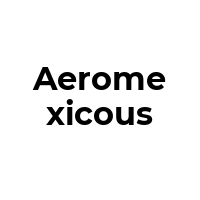 AEROMEXICOUS Promo Codes  AEROMEXICOUS Coupon Codes
