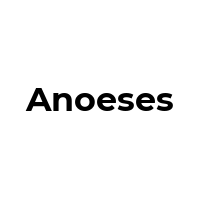 ANOESES Promo Codes  ANOESES Coupon Codes