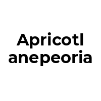 APRICOTLANEPEORIA Promo Codes  APRICOTLANEPEORIA Coupon Codes
