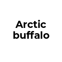 ARCTICBUFFALO Promo Codes  ARCTICBUFFALO Coupon Codes