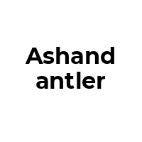 ASHANDANTLER Promo Codes  ASHANDANTLER Coupon Codes