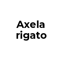 AXELARIGATO Coupons