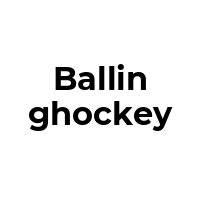 BALLINGHOCKEY Promo Codes  BALLINGHOCKEY Coupon Codes