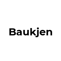 BAUKJEN Promo Codes  BAUKJEN Coupon Codes