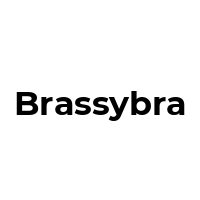 BRASSYBRA Promo Codes  BRASSYBRA Coupon Codes