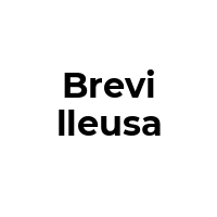 BREVILLEUSA Promo Codes  BREVILLEUSA Coupon Codes