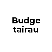 BUDGETAIRAU Promo Codes  BUDGETAIRAU Coupon Codes