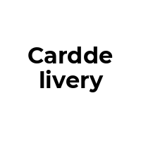 CARDDELIVERY Promo Codes  CARDDELIVERY Coupon Codes