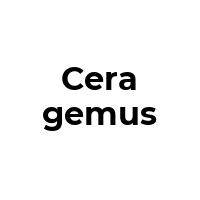 CERAGEMUS Promo Codes  CERAGEMUS Coupon Codes