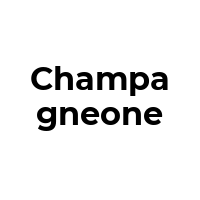 CHAMPAGNEONE Promo Codes  CHAMPAGNEONE Coupon Codes