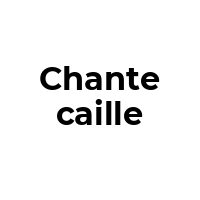 CHANTECAILLE Promo Codes  CHANTECAILLE Coupon Codes