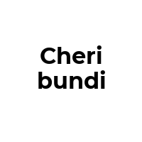 CHERIBUNDI Promo Codes  CHERIBUNDI Coupon Codes