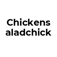 CHICKENSALADCHICK Promo Codes  CHICKENSALADCHICK Coupon Codes