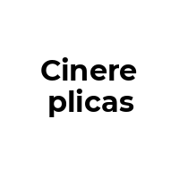 CINEREPLICAS Promo Codes  CINEREPLICAS Coupon Codes