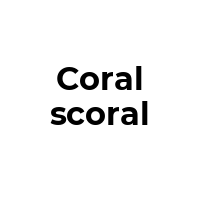 CORALSCORAL Promo Codes  CORALSCORAL Coupon Codes