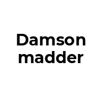 DAMSONMADDER Promo Codes  DAMSONMADDER Coupon Codes