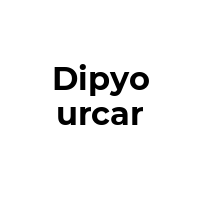 DIPYOURCAR Promo Codes  DIPYOURCAR Coupon Codes