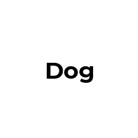 DOG Promo Codes  DOG Coupon Codes
