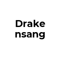 DRAKENSANG Promo Codes  DRAKENSANG Coupon Codes