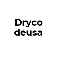 DRYCODEUSA Promo Codes  DRYCODEUSA Coupon Codes