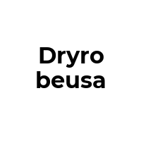 DRYROBEUSA Promo Codes  DRYROBEUSA Coupon Codes
