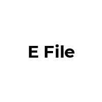 E-FILE Promo Codes  E-FILE Coupon Codes