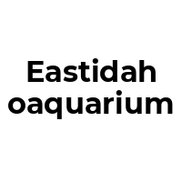 EASTIDAHOAQUARIUM Promo Codes  EASTIDAHOAQUARIUM Coupon Codes