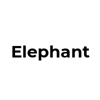 ELEPHANT Promo Codes  ELEPHANT Coupon Codes