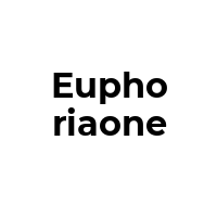 EUPHORIAONE Promo Codes  EUPHORIAONE Coupon Codes