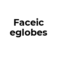 FACEICEGLOBES Promo Codes  FACEICEGLOBES Coupon Codes