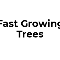 FAST-GROWING-TREES Promo Codes  FAST-GROWING-TREES Coupon Codes