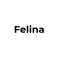 Felina Intimates Promo Codes  Felina Intimates Coupon Codes