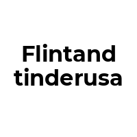 FLINTANDTINDERUSA Promo Codes  FLINTANDTINDERUSA Coupon Codes