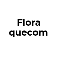 FLORAQUECOM Promo Codes  FLORAQUECOM Coupon Codes