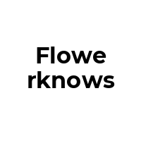 FLOWERKNOWS Promo Codes  FLOWERKNOWS Coupon Codes