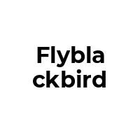 FLYBLACKBIRD Promo Codes  FLYBLACKBIRD Coupon Codes