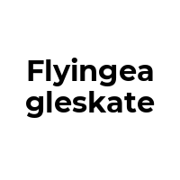 FLYINGEAGLESKATE Promo Codes  FLYINGEAGLESKATE Coupon Codes