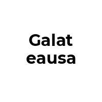 GALATEAUSA Promo Codes  GALATEAUSA Coupon Codes