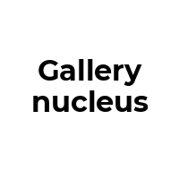 GALLERYNUCLEUS Promo Codes  GALLERYNUCLEUS Coupon Codes