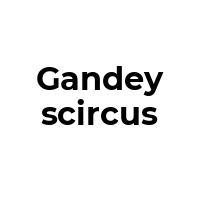 GANDEYSCIRCUS Promo Codes  GANDEYSCIRCUS Coupon Codes