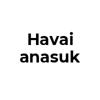 HAVAIANASUK Promo Codes  HAVAIANASUK Coupon Codes