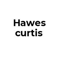 HAWESCURTIS Promo Codes  HAWESCURTIS Coupon Codes