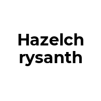 HAZELCHRYSANTH Promo Codes  HAZELCHRYSANTH Coupon Codes