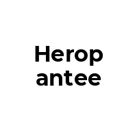 HEROPANTEE Promo Codes  HEROPANTEE Coupon Codes