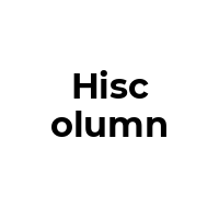 HISCOLUMN Promo Codes  HISCOLUMN Coupon Codes