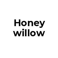 HONEYWILLOW Promo Codes  HONEYWILLOW Coupon Codes
