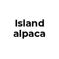 ISLANDALPACA Promo Codes  ISLANDALPACA Coupon Codes