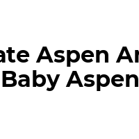 Kate Aspen & Baby Aspen Discounts